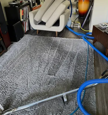 Gray shag area rug being cleaned mid-job with fresh vacuum lines